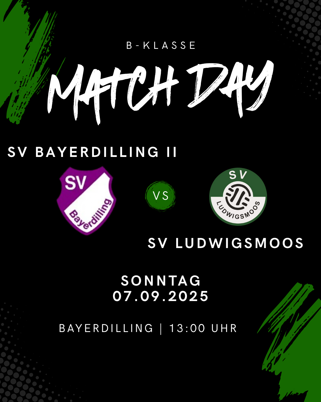 Bild Bayerdilling 2 pre